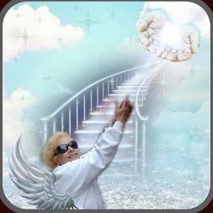 Meet your Posher, Norma-angel